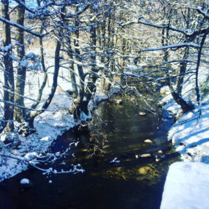 Snowy creek on the way to Bocchigliero