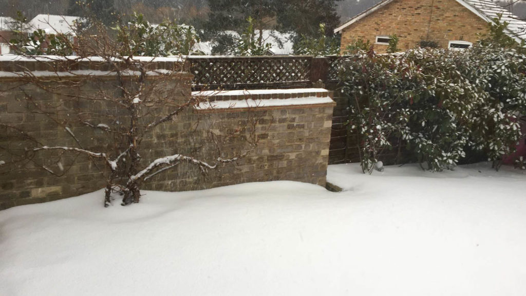 Snowy day at the Horsfield's