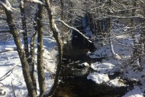 Snowy creek