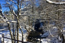 Snowy creek
