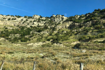 Driving to the Mountain Camps