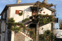 This house would look great in springtime when the flowers bloom.